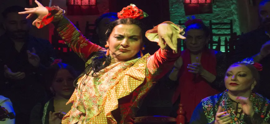 Chica muestra su sentimiento por el flamenco durante el baile.
