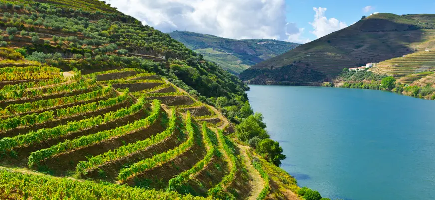 Excursión por el Valle del Duero con cata de vinos, crucero por el río y visita a Lamego desde Oporto - buendía