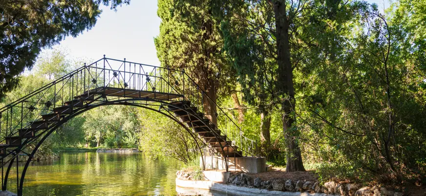 Paisaje de naturaleza en este emblemático pulmón verde de Madrid.