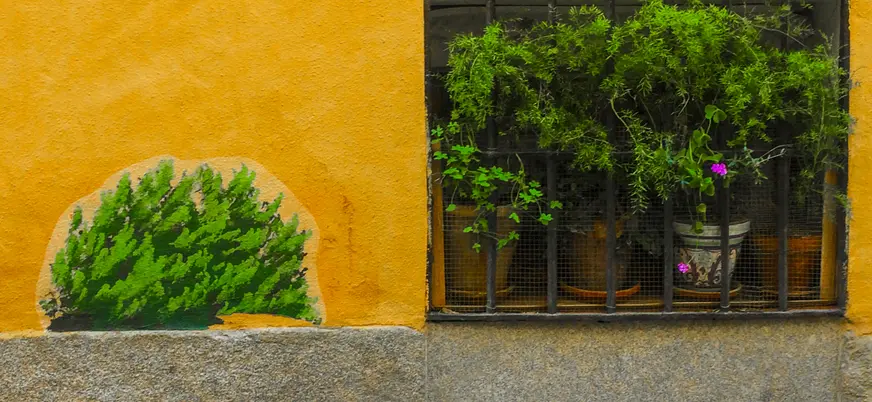 Decoración de paredes con plantas dibujadas, un ejemplo del street art de este free tour.