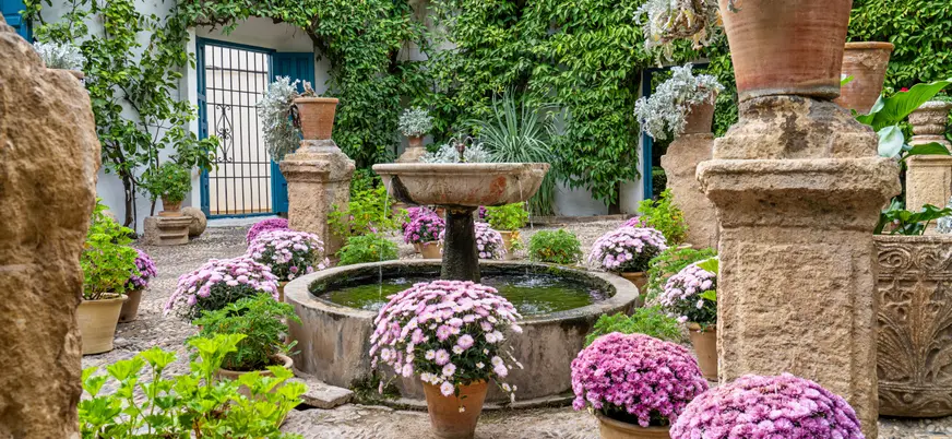 Diferentes tipos de flores de colores en una casa tradicional cordobesa.