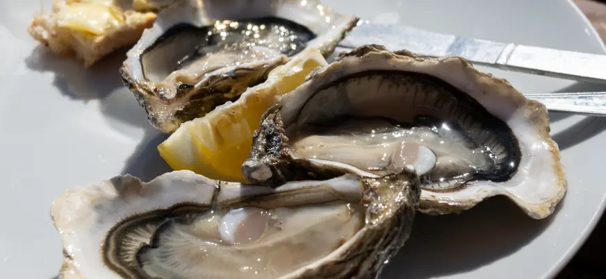 Plato de ostras frescas, parte de la gastroomía local.