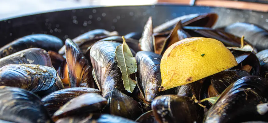 Mejillones al vapor en la ría de O Grove