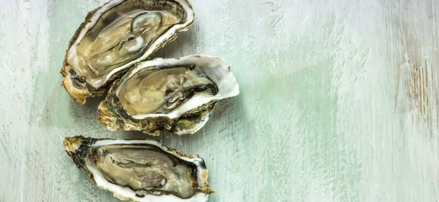 Ostras en la ría de O Grove