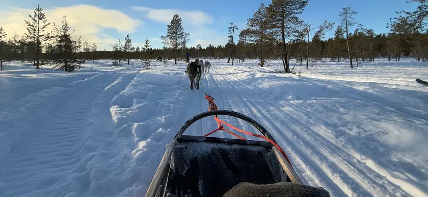 Siente la emoción del trineo tirado por huskies a través de paisajes cubiertos de nieve.