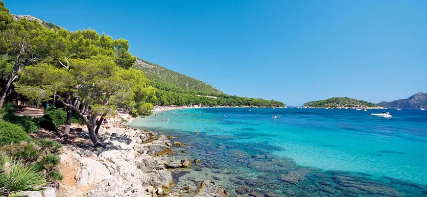 Vistas de la playa de Formentor revelan su arena dorada y aguas turquesa, un paraíso natural de serenidad.