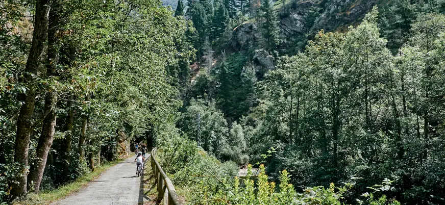 Paisaje verde, rodeado de naturaleza, de la Senda del Oso.