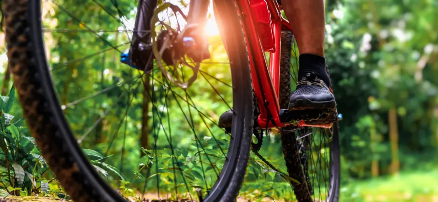 Bicicleta en primer plano en este tour en bicicleta.