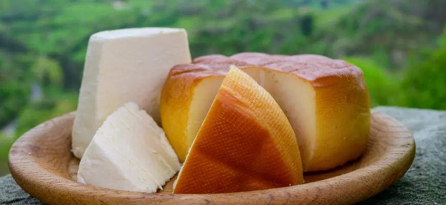 Quesos de Asturias con el verde tan significado de esta región de fondo.