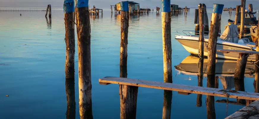 Imagen de la laguna veneciana en la isla Pallestrina