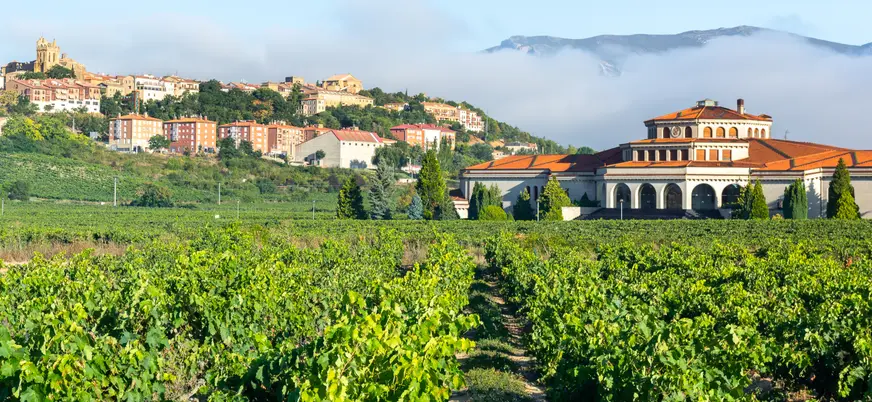 La localidad de Laguardia y sus viñedos de Rioja Alavesa