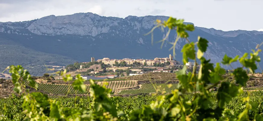La localidad de Laguardia de fondo entre viñedos