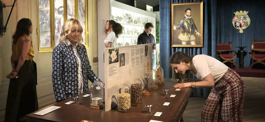 Salas de esta impresionante galería que muestran diferentes tipos de cacao.