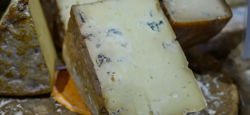 Primer plano de un queso asturiano con vetas azules, uno de los productos gastronómicos más típicos del Principado de Asturias.