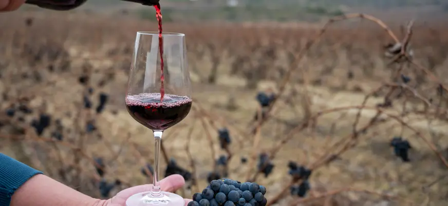 Experto en vino sirve una copa para una cota en la Rioja Alavesa
