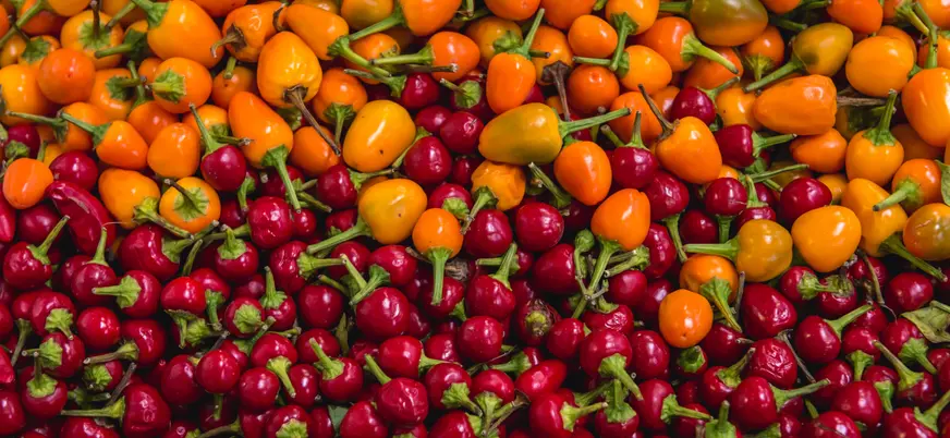 Productos del mercado central de Setúbal, Portugal