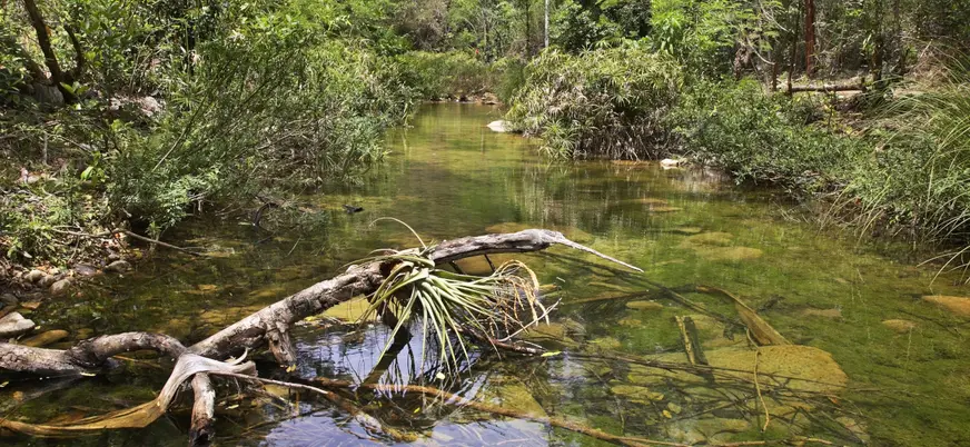Agua transparente en el Parque Natural el Cubano en Trinidad, Cuba