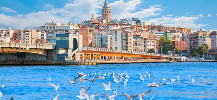 Vista de gaviotas revoloteando en el Bósforo y la torre Galata de fondo, Estambul
