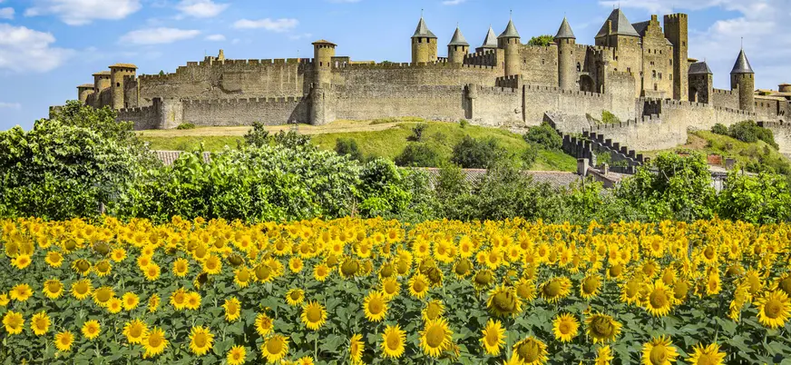 Campo de girasoles frente a la ciudadela medieval de Carcasona en un día de verano soleado.