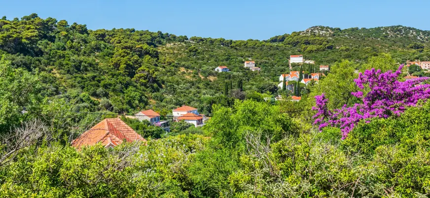 Paisaje rural de la isla de Kolocep.