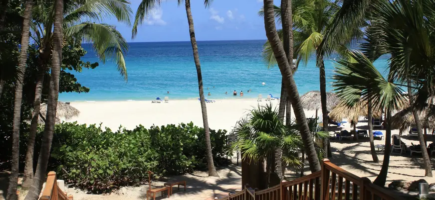 Siluetas que se mecen con la brisa caribeña, ofreciendo sombra natural y un toque tropical que define el paraíso cubano.