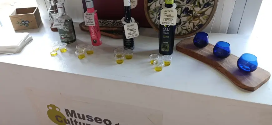 Taller de cata de aceites, incluido en esta experiencia de oleoturismo en la Hacienda La Laguna.