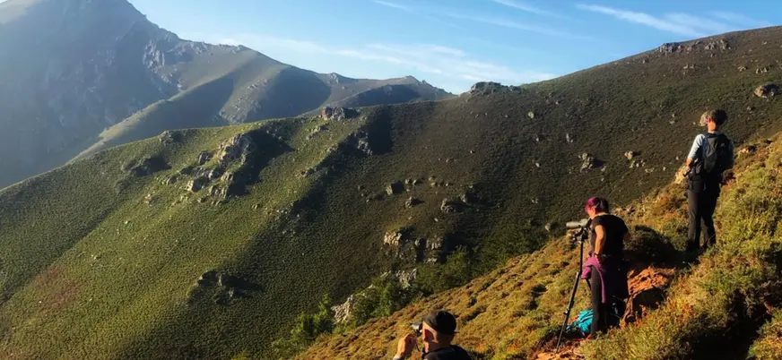 Grupo observando la berrea con prismáticos en Asturias