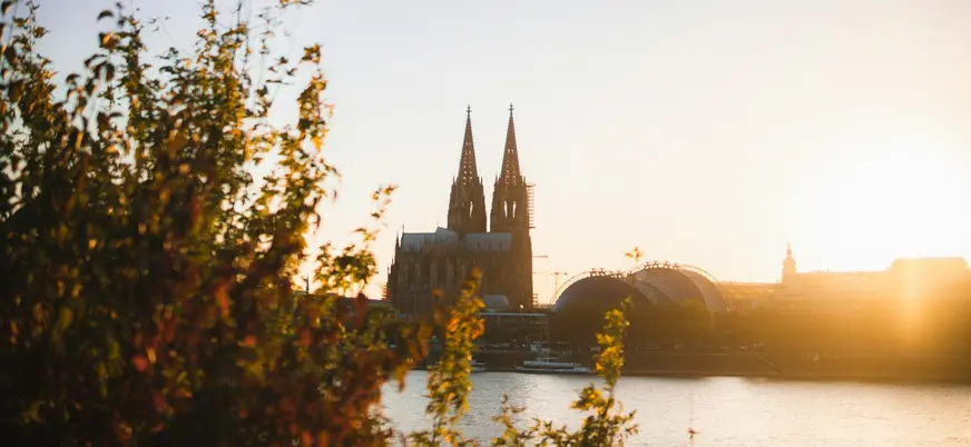 Catedral de Colonia tras la vegetación frente al río Rin durante el atardecer.
