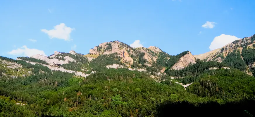  Vista panorámica de las montañas del Pirineo con denso bosque en primer plano y cielo azul con nubes.