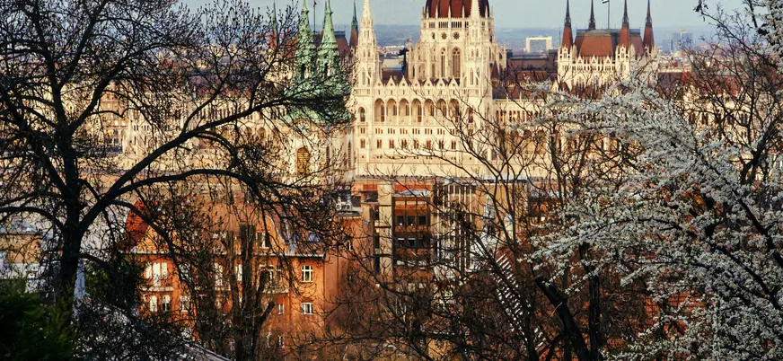 El Parlamento de Budapest visto a través de árboles en flor en primavera.
