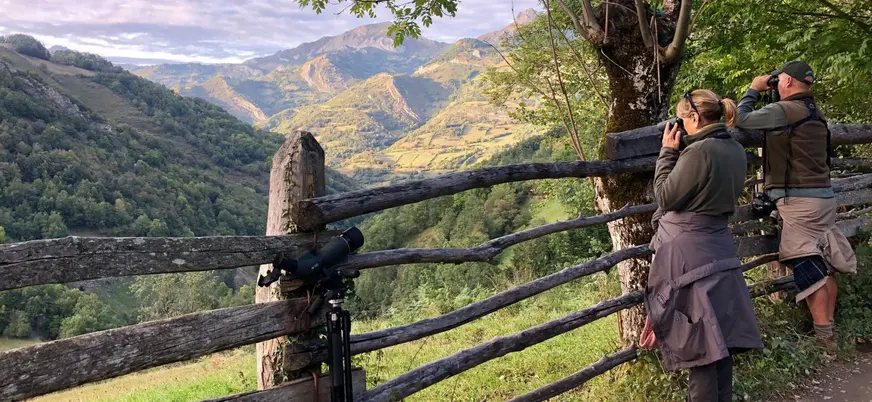 Grupo con prismáticos observando la berrea desde un mirador en Asturias