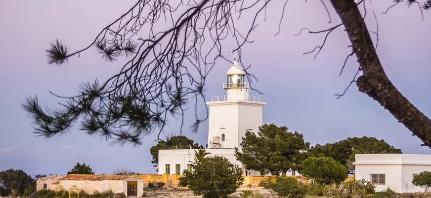 Faro de Santa Pola, Alicante, de color blanco y en la cima de un promontorio, enmarcado por una rama de pino.
