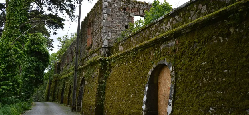 Muro cubierto de musgo y ruinas antiguas en un sendero forestal de la Quinta da Regaleira.
