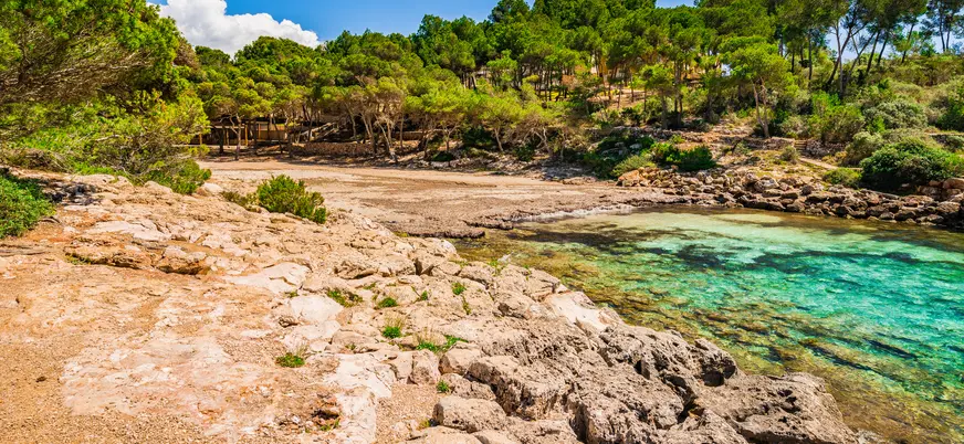 Entorno natural junto a la orilla en Cala Barca Trencada
