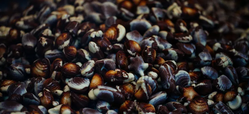 Montón de bombones de chocolate belga en brujas