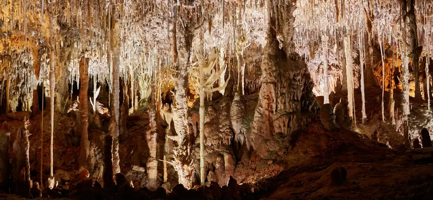 Densa red de estalactitas y columnas en las Cuevas dels Hams, Mallorca
