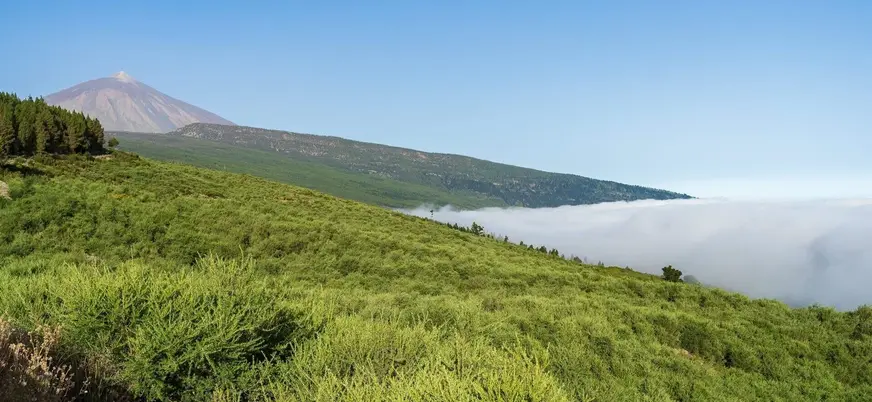 Mar de nubes y pico del Teide sobre laderas verdes en Tenerife.