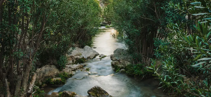 Arroyo de aguas claras rodeado de vegetación frondosa y rocas en las Fuentes del Algar.