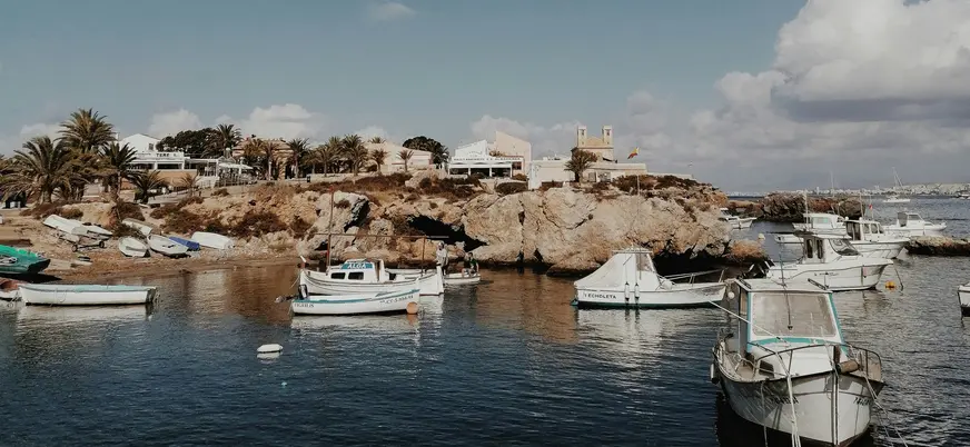 Barcos amarrados en el puerto de Tabarca con la costa rocosa, palmeras y edificios en el fondo bajo un cielo azul.