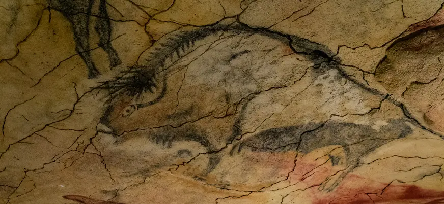 Bisonte rupestre trazado en negro en la Neocueva de Altamira