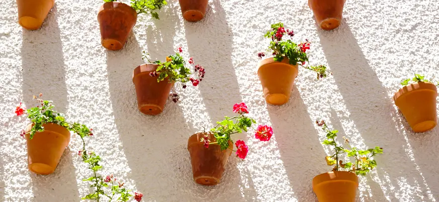 Macetas de barro con flores colgadas en una pared blanca, iluminadas por el sol.