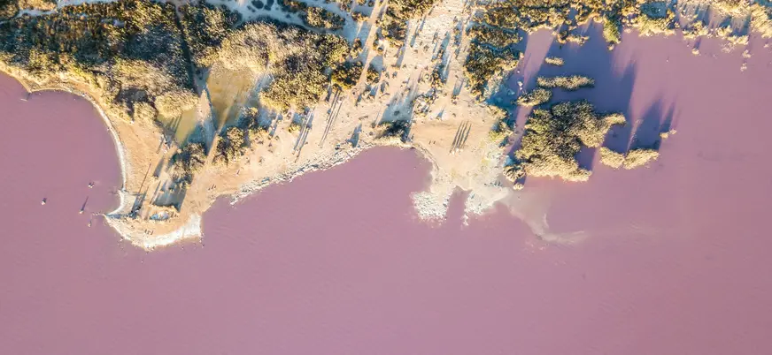 Vista aérea cenital de la Laguna Rosa de Torrevieja, con un intenso color rosado y la orilla seca y arbustos.