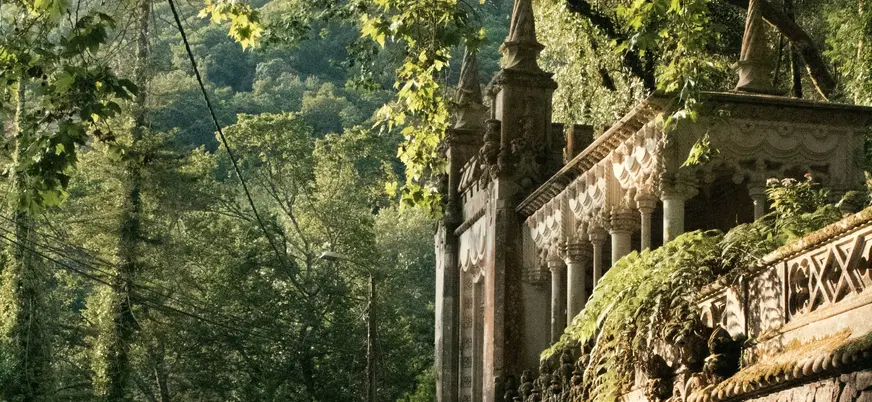 Entrada lateral de la Quinta da Regaleira rodeada de vegetación frondosa.