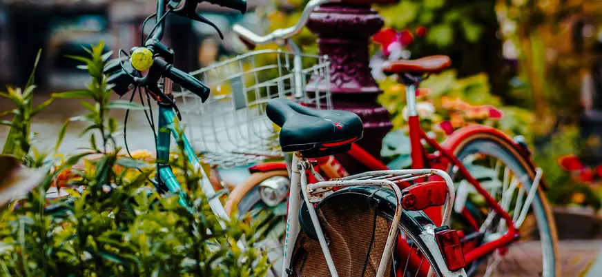 Bicicletas aparcadas entre flores en una calle de Ámsterdam