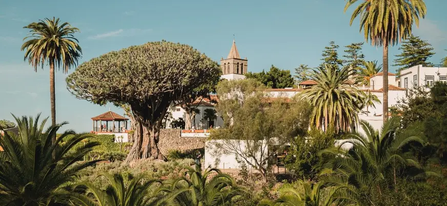 El Drago Milenario en su jardín de Icod de los Vinos, Tenerife