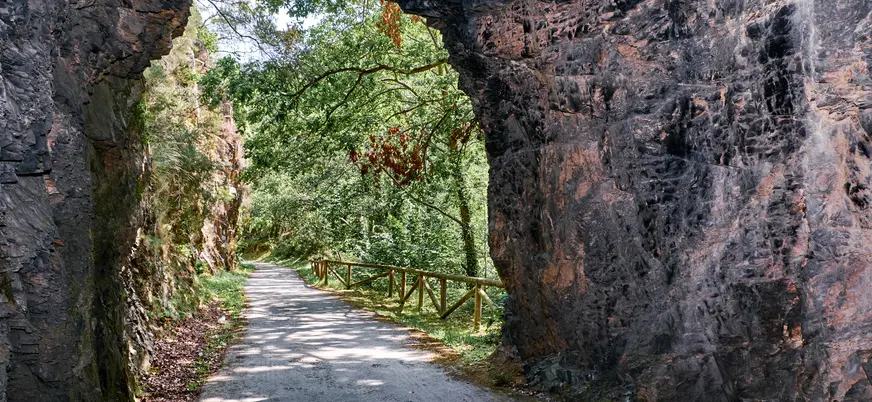 Senda del Oso, Proaza