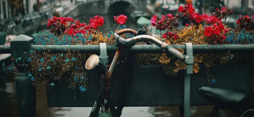 Bicicleta apoyada en un puente adornado con flores coloridas en el centro de Ámsterdam.