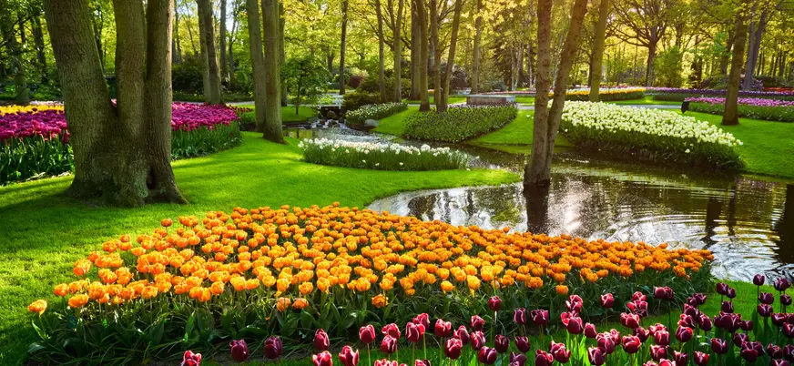 Excursión grupos reducidos Keukenhof desde Utrecht
