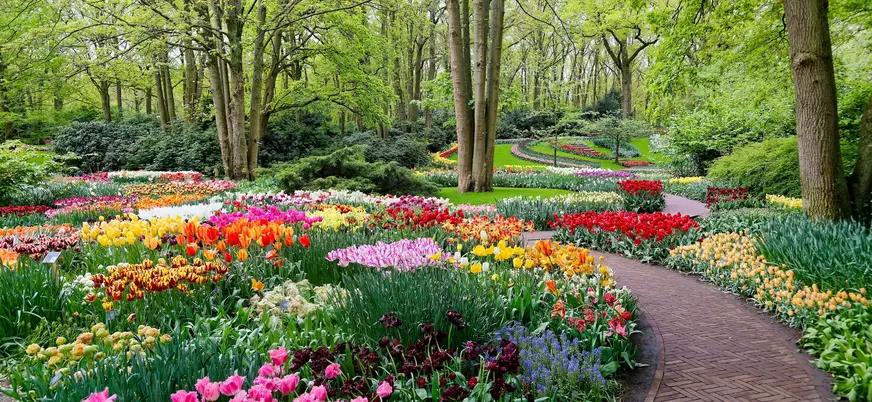 Excursión grupos reducidos Keukenhof desde Utrecht