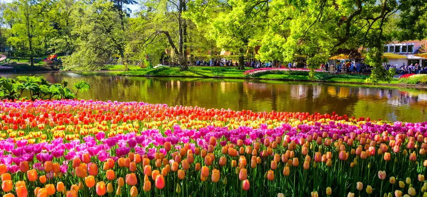 Excursión grupos reducidos Keukenhof desde Utrecht